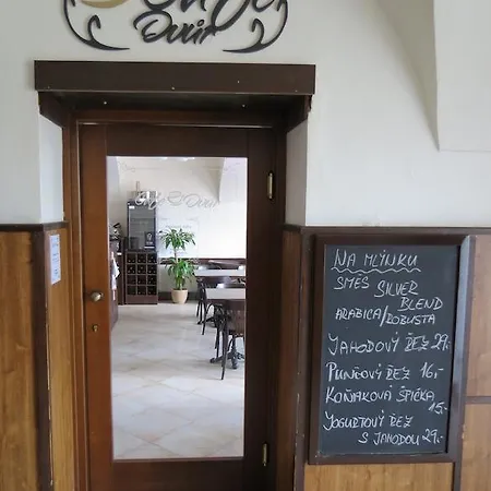 Cesky Dvur 酒店 3*